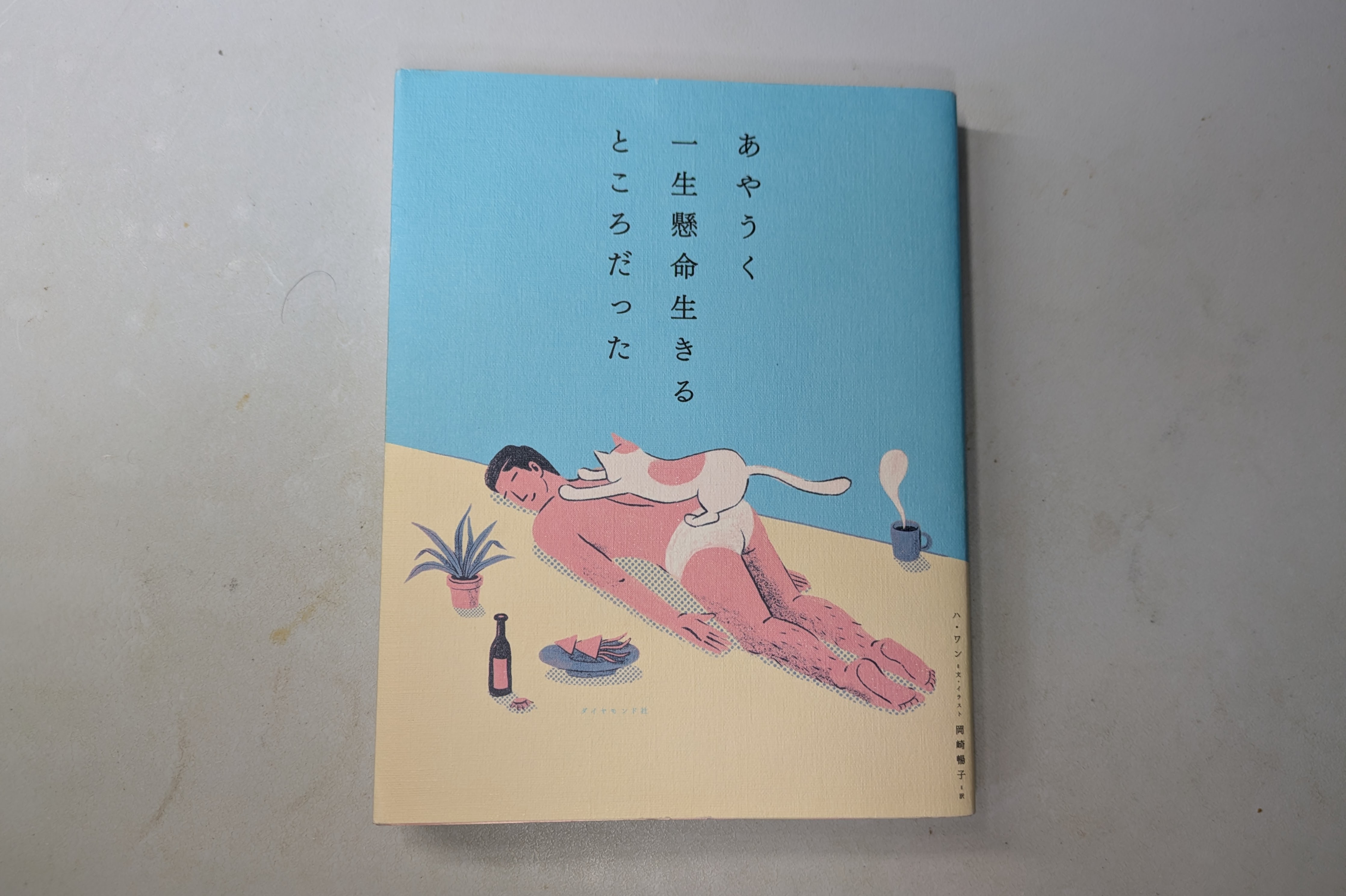 【書評】あやうく一生懸命生きるところだった / ハ・ワン 著